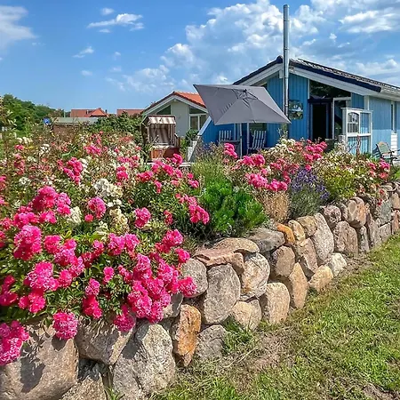 Ferienhaus Friedrichskoog-deichblick 4 *